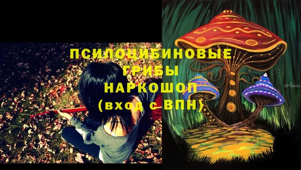 ешки Алексеевка