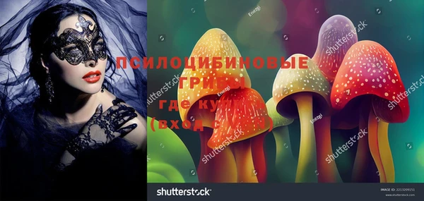 ешки Алексеевка