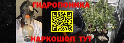 индика Кулебаки