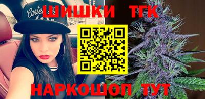 индика Кулебаки