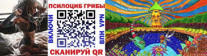 закладка  Тверь  мега ссылка  Псилоцибиновые грибы Psilocybe 