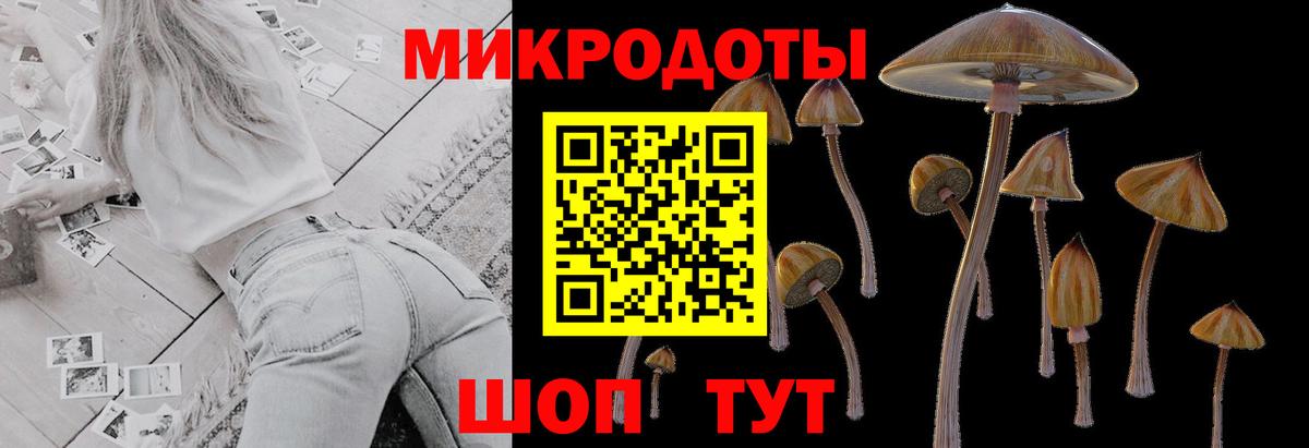 наркошоп  Псилоцибиновые грибы мицелий  Вход с VPN  Тверь 