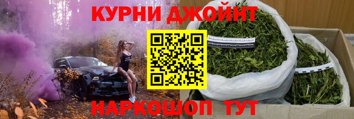 Бошки Шишки план Тверь